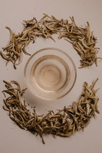 Silver tips - White Tea