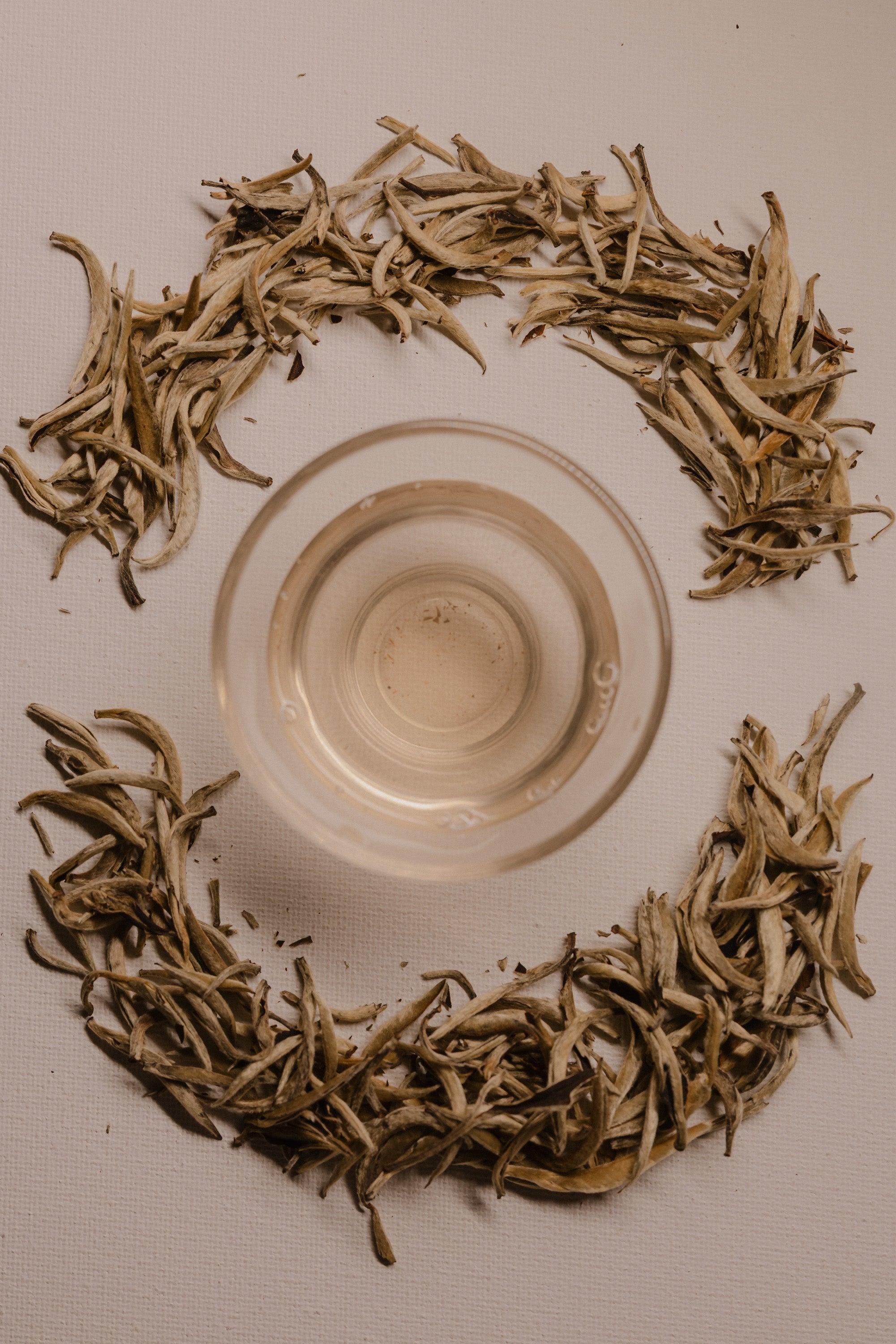 Silver tips - White Tea