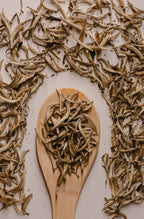 Silver tips - White Tea