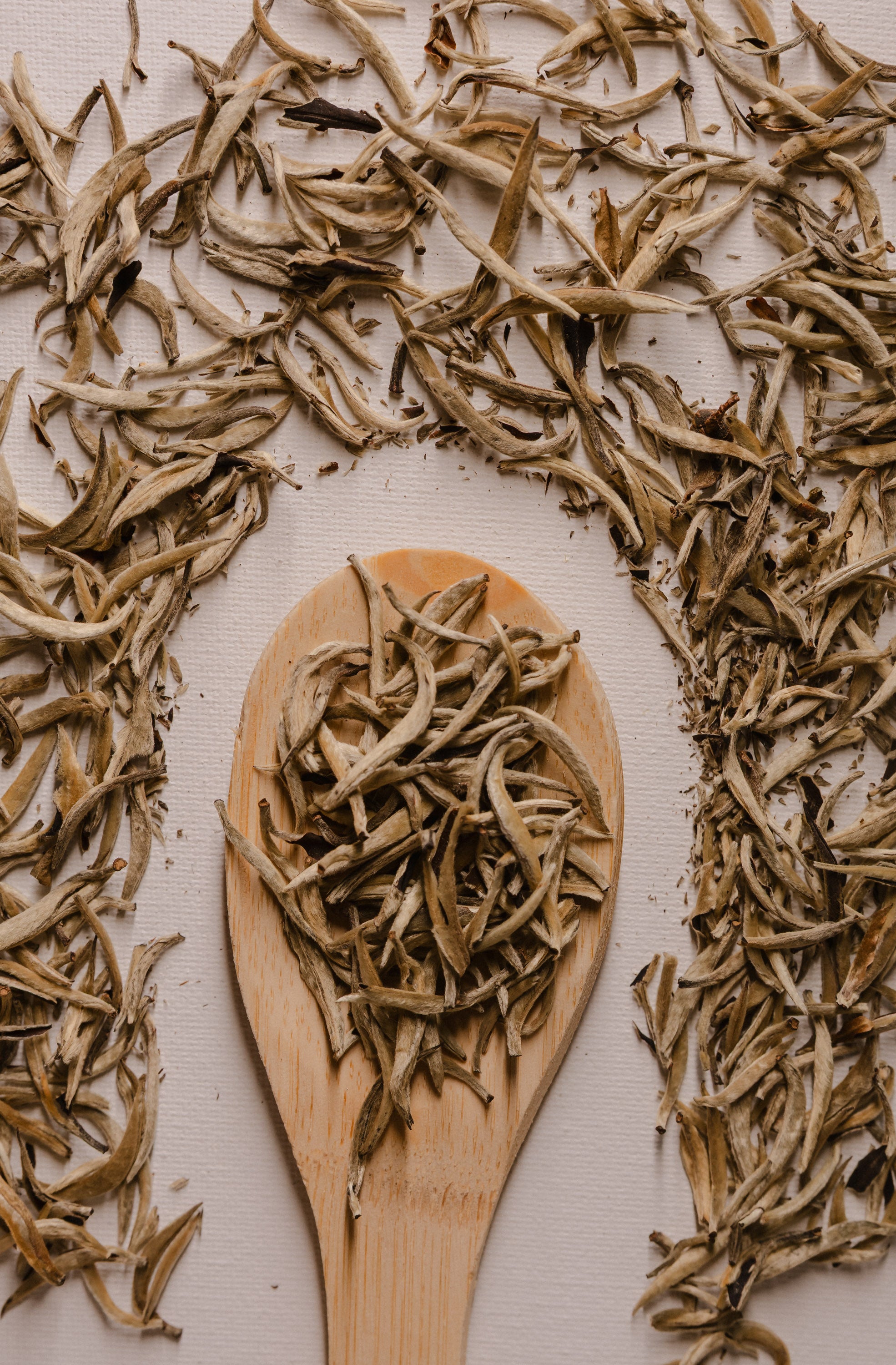 Silver tips - White Tea